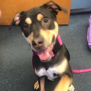 Meet your Posher, Nick